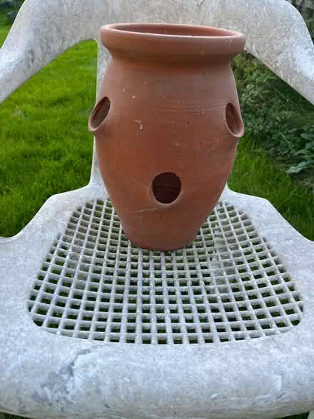 Photo of free Strawberry Pot (Trumpsgreen GU25) #1