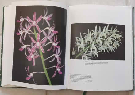 Photo of free Blooms of the Australian Wilderness (East Scarborough) #4