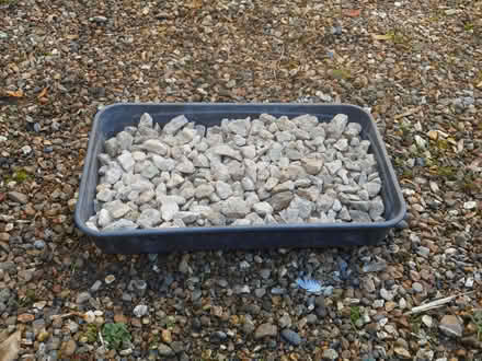 Photo of free Decorative stone chippings (East Horsley KT24) #1