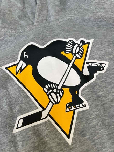 Photo of free Grey NHL Youth Hoodie. 10-12 years. (Southsea PO4) #3