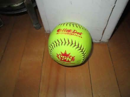 Photo of free 2 small balls (Old Ottawa South) #1