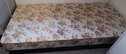 Photo of free single bed (no mattress or headboard) (Ludlow SY8) #1