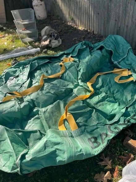 Photo of free bagster (Kingston, NY) #1
