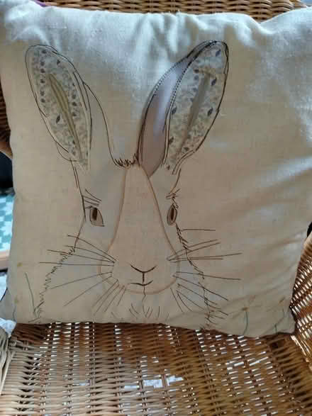 Photo of free Rattan chair and cushion (Walsall WS2) #2