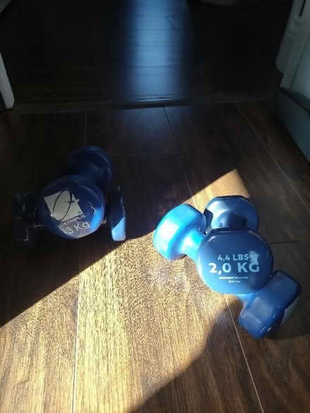 Photo of free Dumbbells (Stroud Green N4) #1