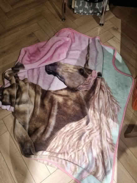 Photo of free Large unicorn blanket (Coldean BN1) #1