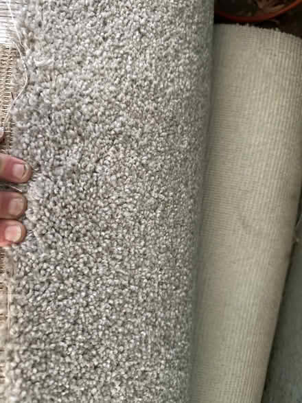 Photo of free Unused light gray carpet roll (North San Leandro) #1