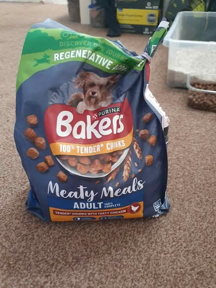 Photo of free Cat and dog food (Hatfield AL10) #1