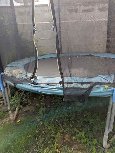Photo of free Trampoline (Lower Weston) #1