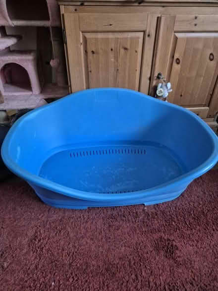 Photo of free Dog bed (Southborough TN4) #1