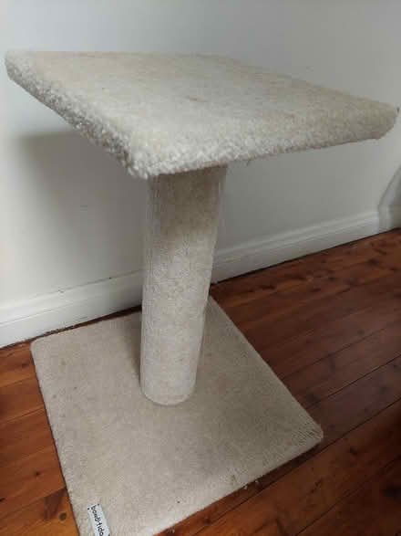 Photo of free Cat scratching pole (Glebe) (glebe) #1