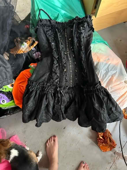 Photo of free Halloween (Woodford green) #3