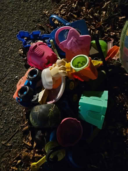 Photo of free Shelves and toys - at the curb (Near the experimental farm) #2