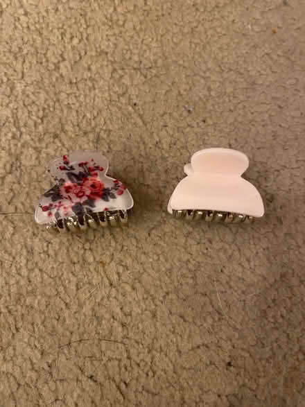 Photo of free 2x pretty hair clips (small) (Shepshed LE12) #1