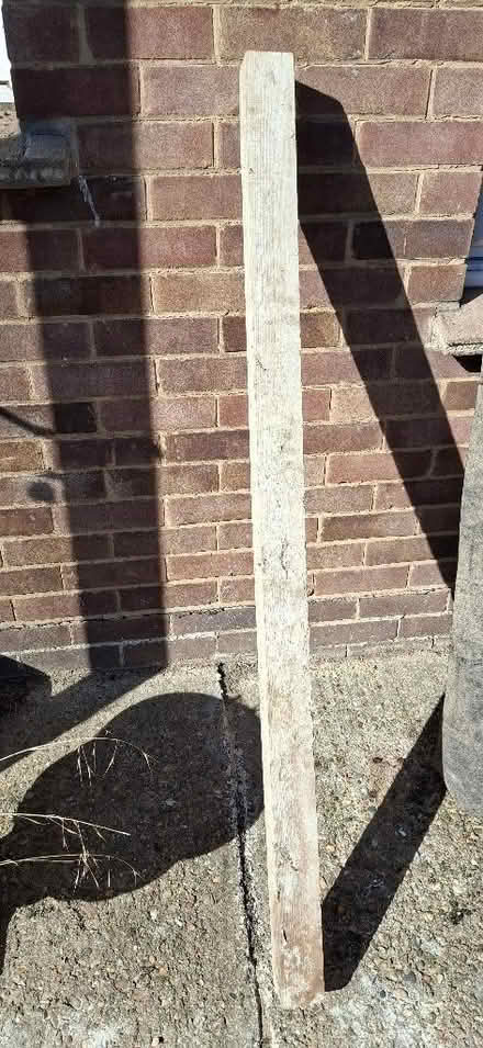 Photo of free Wooden post (Chelmsford CM1) #1