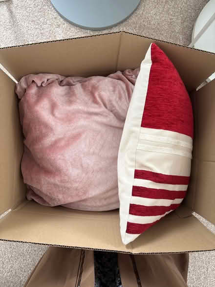 Photo of free Cushions (Downham BR1) #1