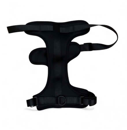 Photo of free W Brand Dog Harness (Brooklyn Storage) #1