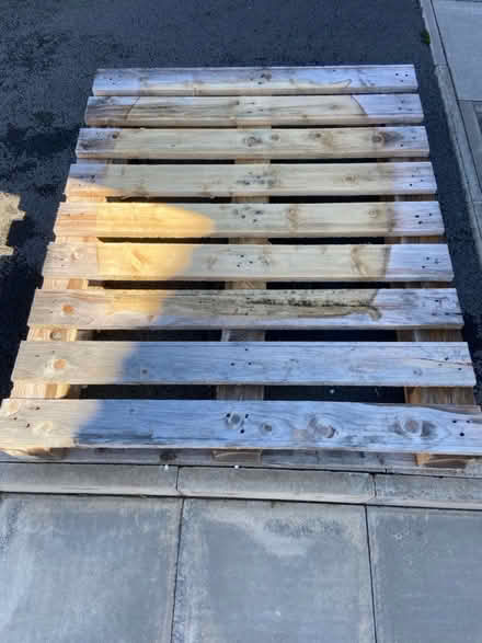 Photo of free Pallet (CW1) #1