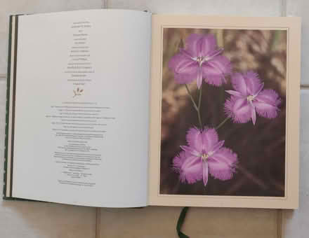 Photo of free Blooms of the Australian Wilderness (East Scarborough) #3