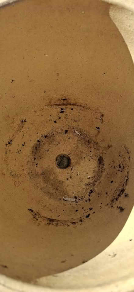 Photo of free Plant pot (Chelmsford CM1) #3