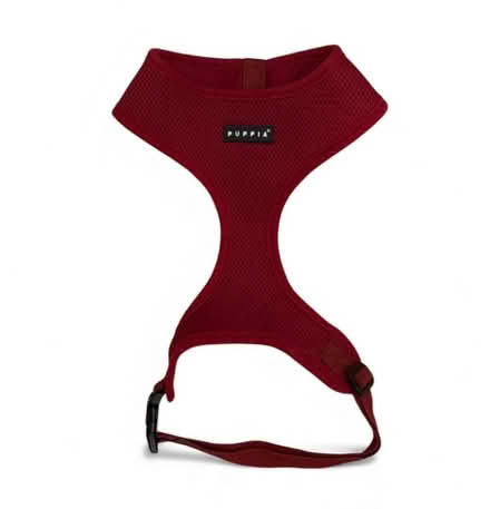 Photo of free Puppies Brand Dog Harness (Brooklyn Storage) #1