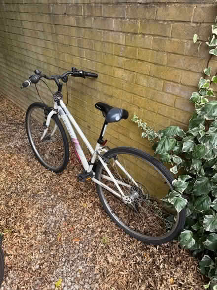 Photo of free Appolo bike (RM8) #1