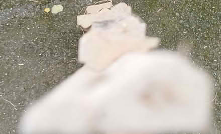 Photo of free O-gee moulding for panel doors, frames etc. (Cainscross GL5) #2