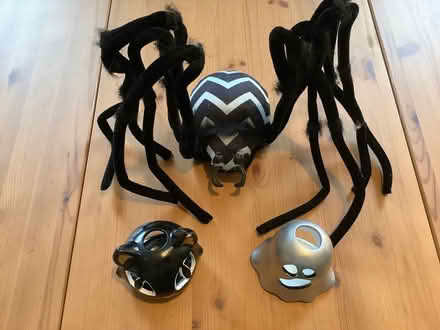Photo of free Halloween items (White City W10) #2