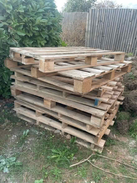Photo of free 6 x wooden pallets (Walton-on-Thames KT12) #1