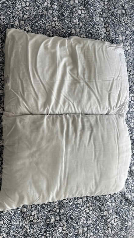Photo of free 2x pillows (Clapham SW4) #1