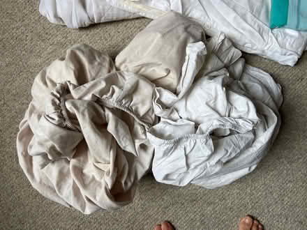 Photo of free Bedding, double duvet & sheets (Hove BN3) #3