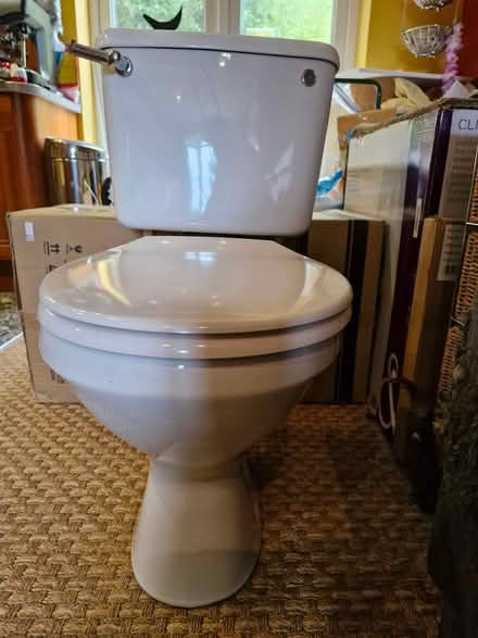 Photo of free Cleaned &disinfected sink & toilet (Denton) #4