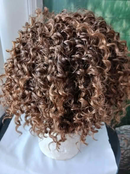 Photo of free Curly wig (60th cedar ave 19143) #3