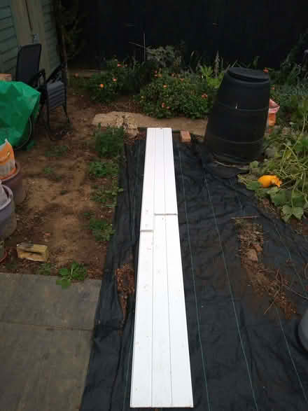 Photo of free Cladding (Woodston) #2