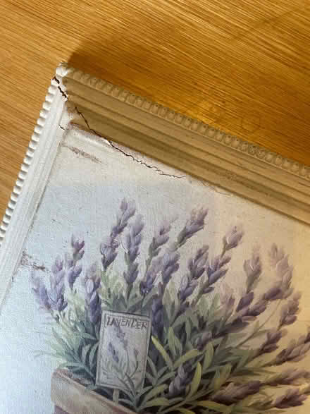 Photo of free Lavender picture (CV23, Coton Park) #2