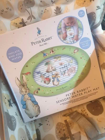 Photo of free Peter Rabbit Water mat (Silver st, N18) #1