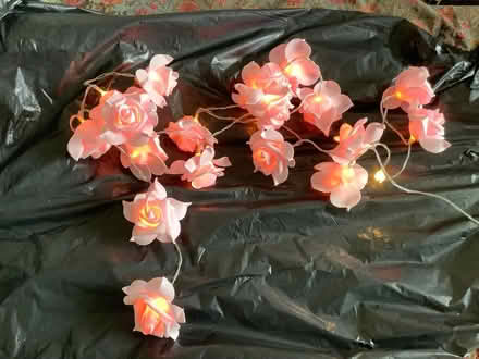 Photo of free Pink flower lights. (White City W10) #1