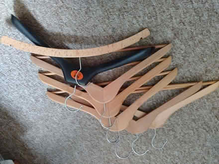 Photo of free Adult hangers (Northcourt OX14) #1