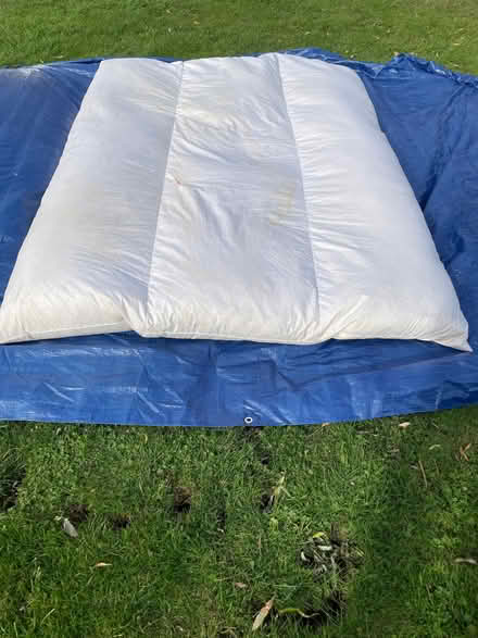 Photo of free Danish cotton and duck mattress (Waterbeach CB25) #3
