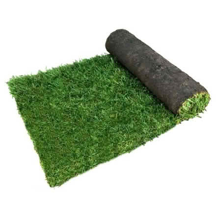 Photo of Turf (Abraham Heights LA1) #1