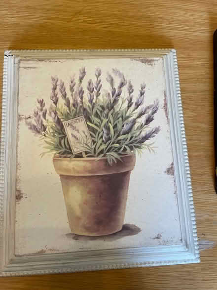 Photo of free Lavender picture (CV23, Coton Park) #1