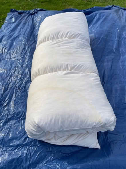 Photo of free Danish cotton and duck mattress (Waterbeach CB25) #4