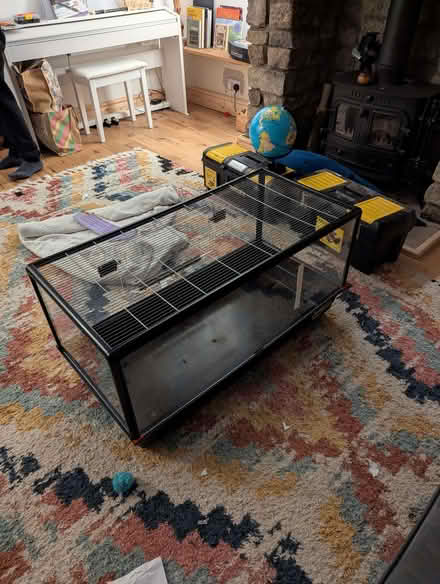 Photo of free Hamster Cage (Little Hayfield SK22) #1