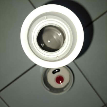 Photo of free Small flask (East) #3