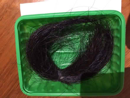 Photo of free Horse hair - for crafting (Penarth CF64) #1