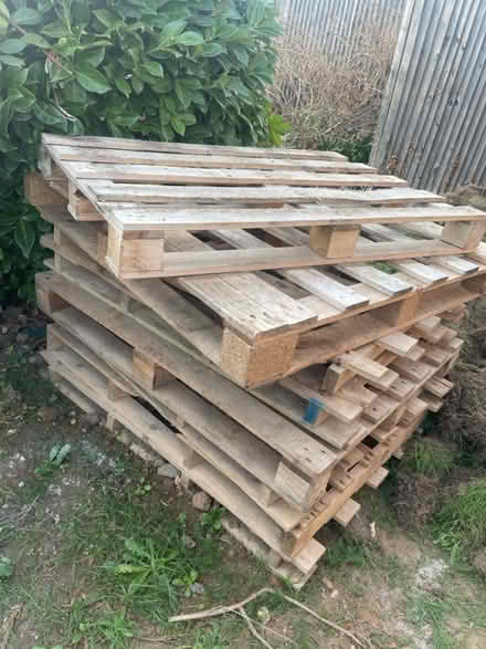 Photo of free 6 x wooden pallets (Walton-on-Thames KT12) #2