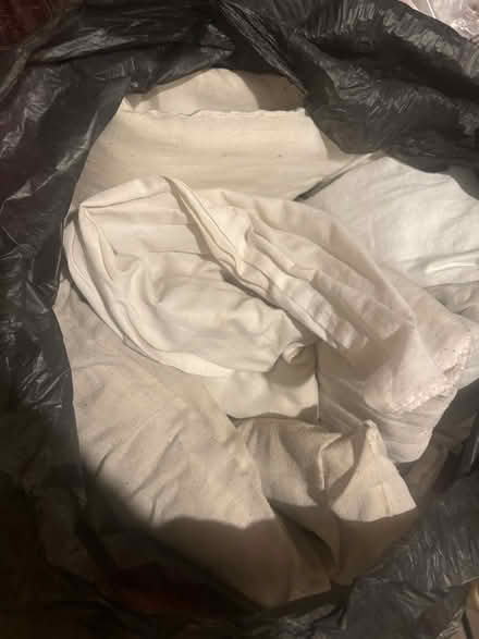 Photo of free Cotbed duvet and pillow, 2 pillows (SE15) #1