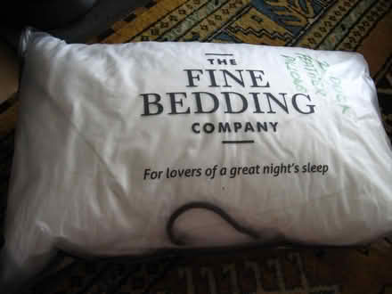 Photo of free Two New Duck Feather Pillows (Coppull PR7) #2