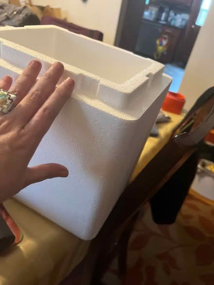 Photo of free Styrofoam coolers (Kirkwood MO) #4