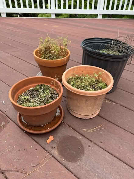 Photo of free Planting Pots (Boyds, Maryland) #2